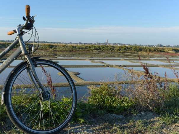 Activités Mesquer - Location vélo Cavalibre presqu'île Guérande